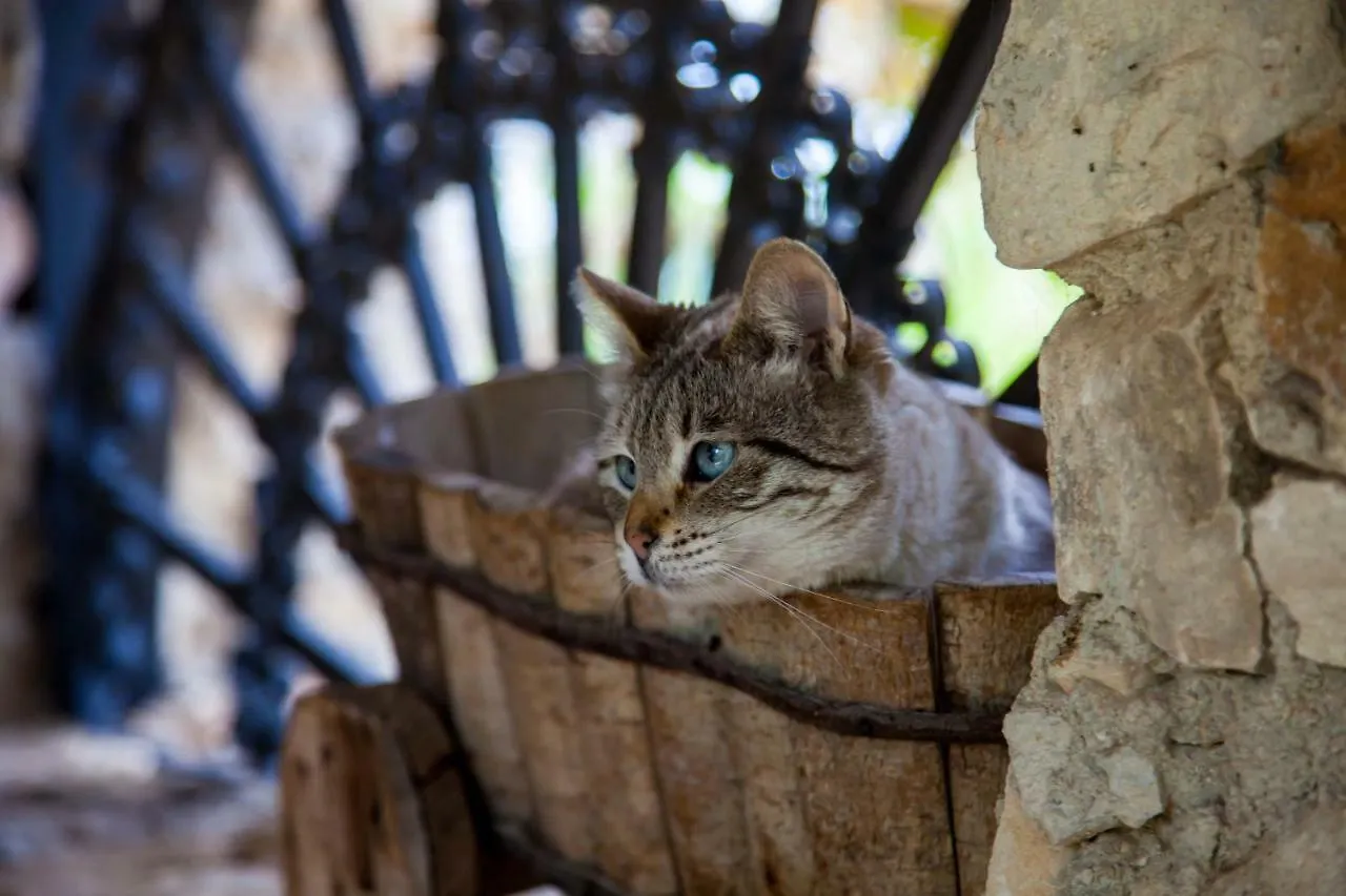Casa Go'El Bed & Breakfast Chiaramonte Gulfi